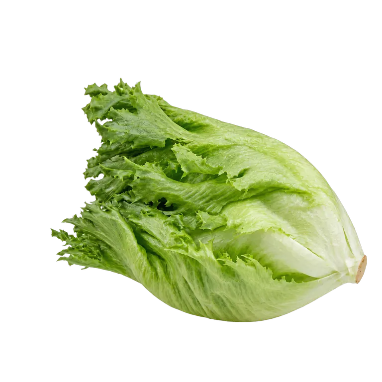 ЛЕТНИЙ САЛАТ (АЙСБЕРГ)